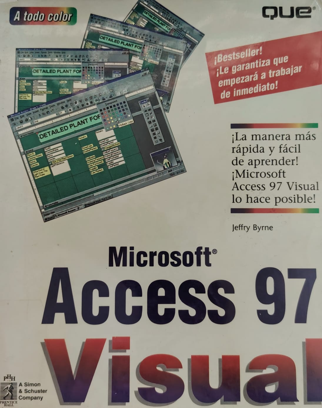 MICROSOFT ACCESS 97 VISUAL